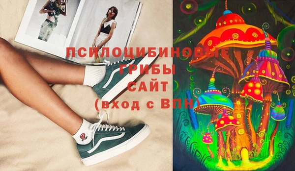 сатива Абдулино