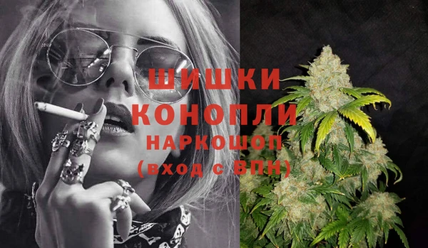 дживик Абинск