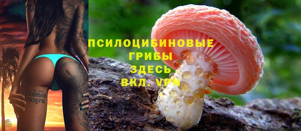 прущие крисы Рославль