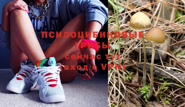 дживик Абинск