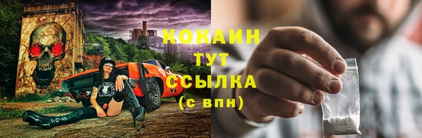 дживик Абинск